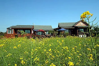 Resort Ebbnsae Pension Jeju
